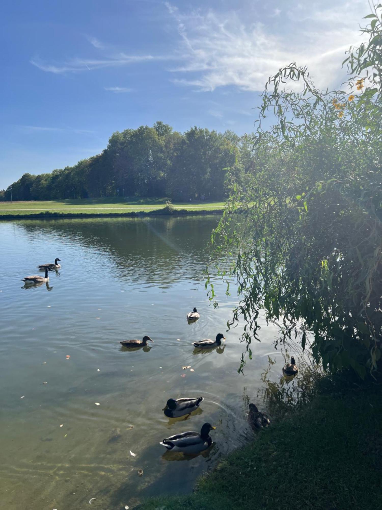 15 Qm Mit Gemeinschaftsbad * München